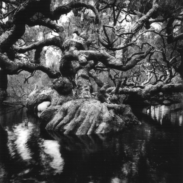 Goblin Swamp with Bum, 1997 jbaphoto19971220B09