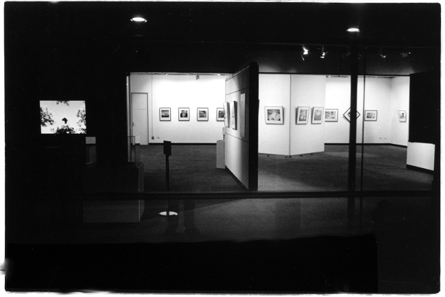 Mandurah gallery at night