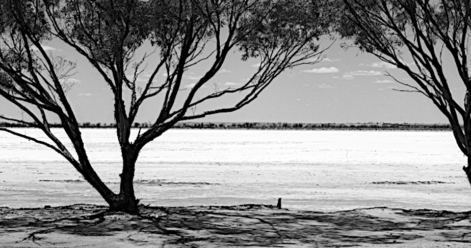 © John Austin Wheatbelt I - Land