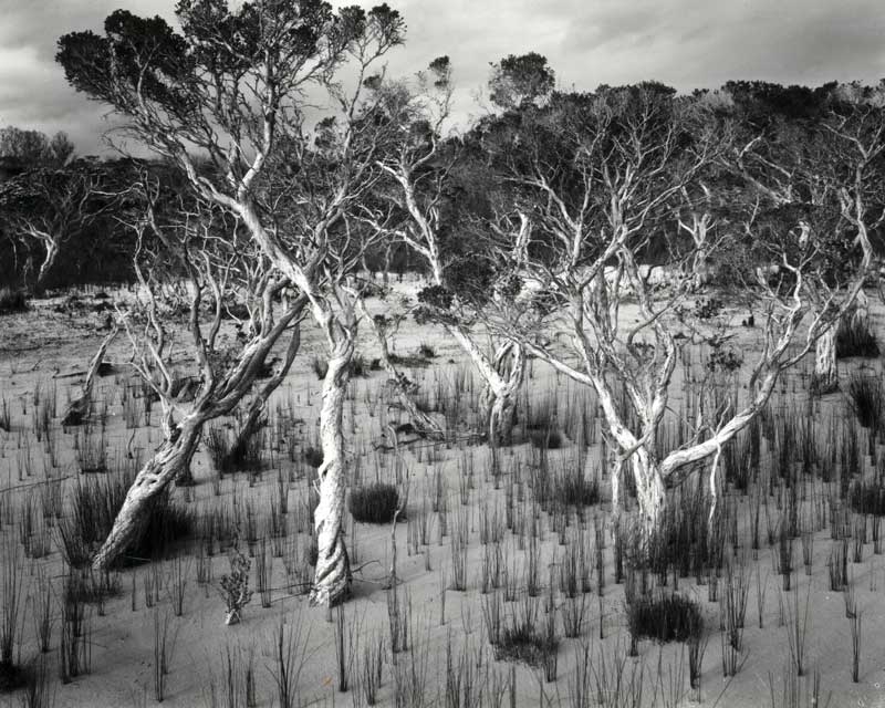 Broke Inlet, Australia, , black and white littoral landscape - © John Austin