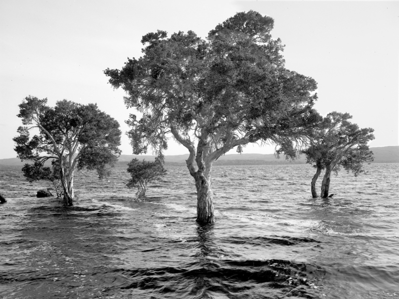 Broke Inlet, Australia, black and white littoral landscape - © John Austin