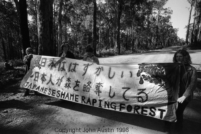Forest Protest Noriko's Banner Wattle Forest 1998 - © John Austin