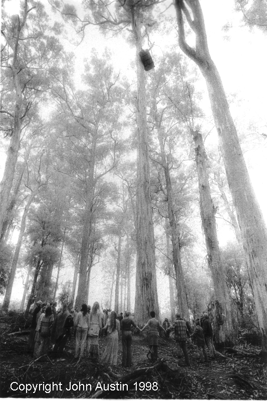 Forest Protest Vigil Lane Forest 1998 - © John Austin
