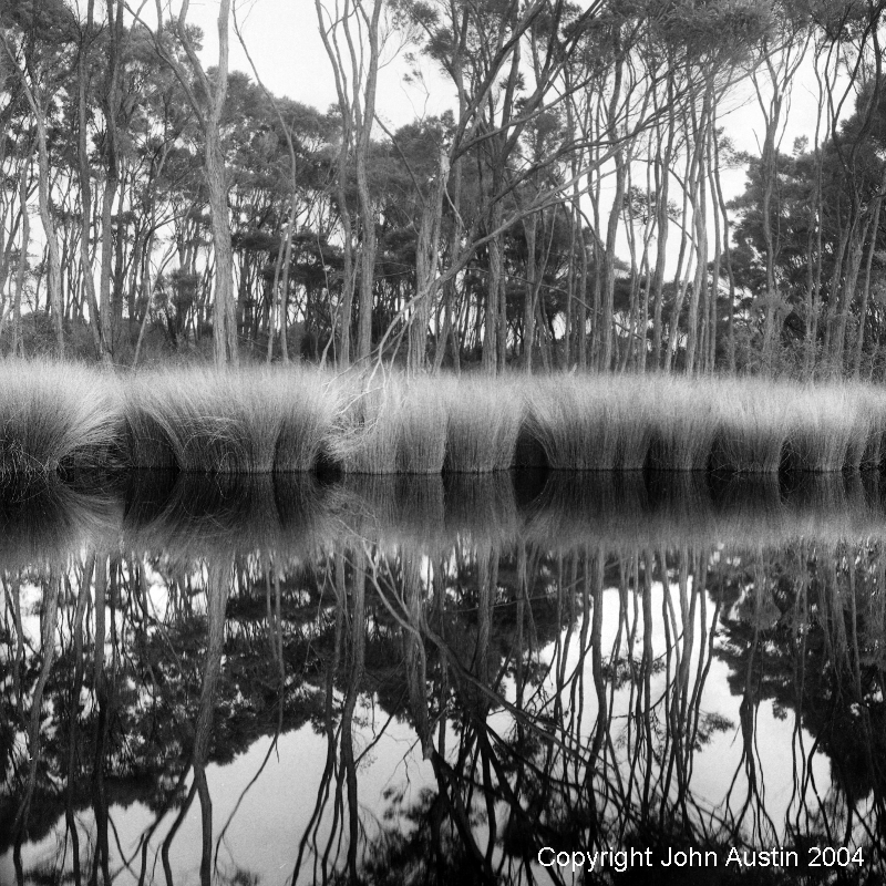 Lake Florence edge, D'Entrecasteaux National Park, Western Australia 2004 - © John Austin